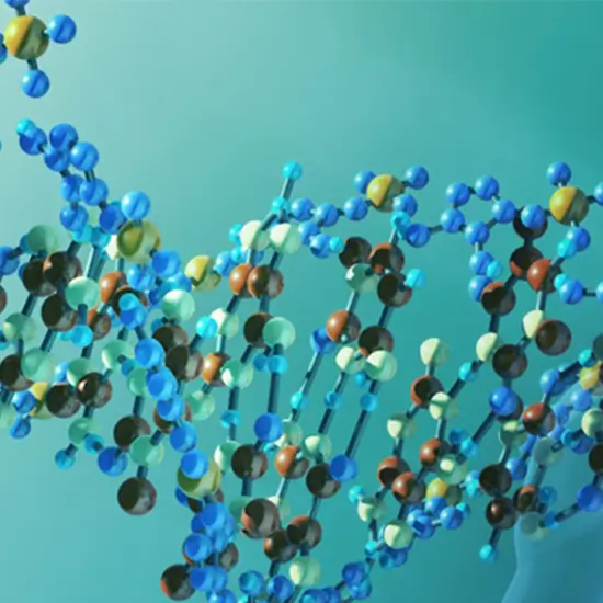 Chromofic Chromosome SNP Microarray 750k, High Resolution Test GDIC